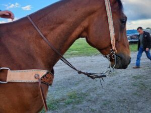 A brown horse stands outdoors with a bridle, saddle, and Stockmans- Roughout Breast Collar- Turquoise Buckstitch. One person is visible leading the horse, while another individual in the background is walking away. The scene is set on a dirt path with grassy areas and a clear blue sky overhead.