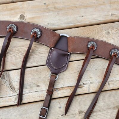 A brown leather horse bridle with decorative conchos and straps laid out on a wooden surface. The bridle features silver hardware and multiple leather ties. The wooden background provides a rustic appearance.