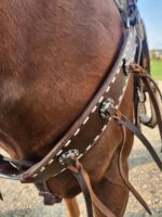 A close-up image of a brown horse shows its side and part of the saddle. The horse features a White Buckstitch Browband Headstall with white stitching and decorative rosettes. The background displays a blurry outdoor setting, highlighting the intricate details on the leather strap.