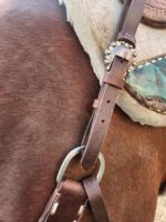 Close-up of a brown horse's saddle and bridle. The saddle features detailed leatherwork and a decorative concho with a silver-tone design. The horse's brown coat is visible, along with the tack, which includes a well-maintained leather strap and White Buckstitch Browband Headstall adorned with a metal ring.