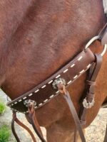 Close-up view of a brown horse wearing a detailed leather breast collar and a White Buckstitch Browband Headstall. The collar features intricate silver conchos and white stitching, with leather straps hanging from it. The horse's reddish-brown coat is visible, and a bit of greenery is in the background.