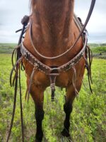 A close-up view of a horse's chest and legs, showcasing its brown leather harness adorned with metal studs and a White Buckstitch Browband Headstall. The horse stands in a lush green field with a cloudy sky in the backdrop.