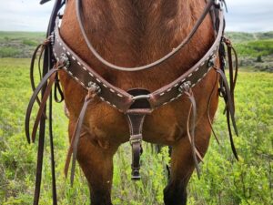 A close-up view of a horse's chest and legs, showcasing its brown leather harness adorned with metal studs and a White Buckstitch Browband Headstall. The horse stands in a lush green field with a cloudy sky in the backdrop.