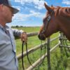 A person in a light-colored shirt and dark baseball cap stands beside a chestnut horse, holding its reins, with a wooden fence and green meadow in the background under a partly cloudy sky.