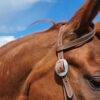 Close-up of a chestnut horse's head, focusing on its bridle and ear. The bridle is brown with white stitching and a silver buckle. The horse's eye is partially visible. The background showcases a bright blue sky with some clouds.