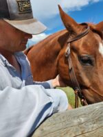 A person wearing a cap and a light blue shirt gently touches a brown horse with a white marking on its forehead. The person is standing next to a wooden fence on a sunny day with a blue sky in the background.