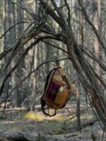 A brown and red plaid backpack is hanging from a tree branch in a dense forest with numerous intertwined branches and trunks. The forest floor is covered with fallen leaves and patches of sunlight filtering through the trees.