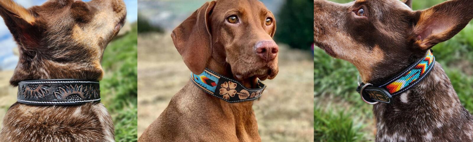 Three dogs are shown in a triptych format, each wearing differently designed and colorful collars. The left and right dogs are shown from the side while the middle dog faces forward. Their collars feature intricate patterns with a mix of earth tones and vibrant colors, adding a touch of homey charm.