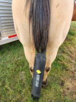 A horse stands near a trailer, with its tail enclosed in a black tail bag that has white letters and a yellow logo on it. The surrounding area is grassy, suggesting an outdoor rural setting.