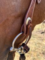 Close-up photo of a horse's bridle and bit. The Cowpuncher Browband Headstall, made of brown leather with white stitching details, is attached to a metal bit in the horse's mouth. The background is out of focus, showing dry grass.