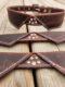 Elegant leather dog collar with bow tie design and paw print detail, perfect for a stylish and sophisticated pup (10)