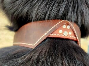 Elegant leather dog collar with bow tie design and paw print detail, perfect for a stylish and sophisticated pup (6)