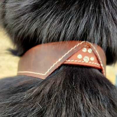Elegant leather dog collar with bow tie design and paw print detail, perfect for a stylish and sophisticated pup (6)