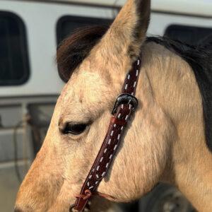 buckstitch split ear headstall