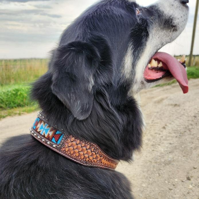 Mexican Dog Leash Collar / Handmade Leather Dog Leash Collar - selling Blue Extra Largue - CXL03.