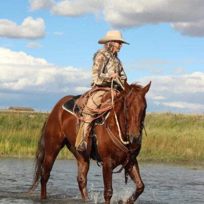 Wrangler Roughout Breast Collar - White Buckstitch - view 3