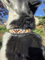 a leather dog collar for sale western sunflower dog collar medium large dog collars ranch hand (13)