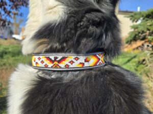 a leather dog collar for sale western sunflower dog collar medium large dog collars ranch hand (13)