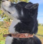 a leather dog collar for sale western sunflower dog collar medium large dog collars ranch hand (20)