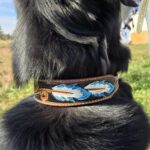 a leather dog collar for sale western sunflower dog collar medium large dog collars ranch hand (21)