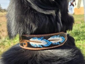 a leather dog collar for sale western sunflower dog collar medium large dog collars ranch hand (21)