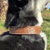 a leather dog collar for sale western sunflower dog collar medium large dog collars ranch hand (30)