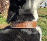 a leather dog collar for sale western sunflower dog collar medium large dog collars ranch hand (30)