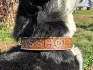 a leather dog collar for sale western sunflower dog collar medium large dog collars ranch hand (30)