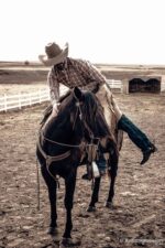 Leather headstall tooled bridle split ear western horse tack wither strap red buckstitch (60) dog collar western dog collar breast collar horse western