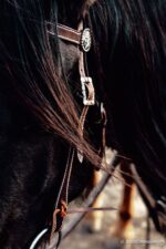 Leather headstall tooled bridle split ear western horse tack wither strap red buckstitch (64) dog collar western dog collar breast collar horse western