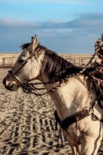 Ranch Hand Leather headstall tooled bridle split ear western horse tack wither strap red buckstitch (20)