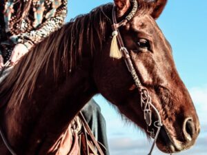 Ranch Hand Leather headstall tooled bridle split ear western horse tack wither strap red buckstitch (21)