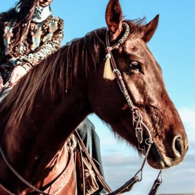 Ranch Hand Leather headstall tooled bridle split ear western horse tack wither strap red buckstitch (21)