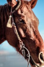 Ranch Hand Leather headstall tooled bridle split ear western horse tack wither strap red buckstitch (22)