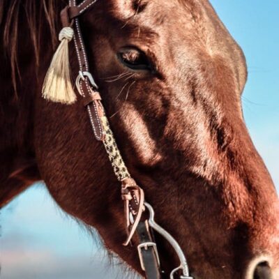 Ranch Hand Leather headstall tooled bridle split ear western horse tack wither strap red buckstitch (22)