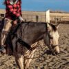 Cowboy's Choice Rawhide Bosal with Leather Hanger - Western Training Gear - view 2