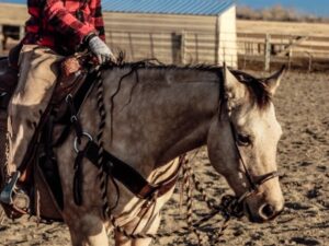 Ranch Hand Leather headstall tooled bridle split ear western horse tack wither strap red buckstitch (23)