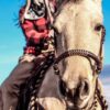 Cowboy's Choice Rawhide Bosal with Leather Hanger - Western Training Gear - view 4