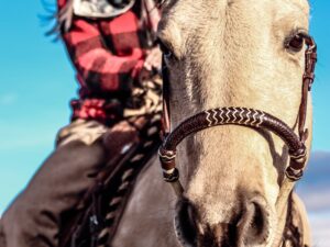 Ranch Hand Leather headstall tooled bridle split ear western horse tack wither strap red buckstitch (24)