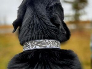 ink ivory leather dog collar white dog collar black dog collar western dog collar leather dog collar (7)