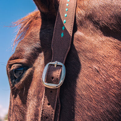 ranch hand western bridle westernhrose tack cowboy gear rodeo ready horse tack (1)