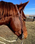ranch hand western bridle westernhrose tack cowboy gear rodeo ready horse tack (6)