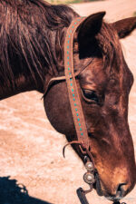 ranch hand western bridle westernhrose tack cowboy gear rodeo ready horse tack (9)