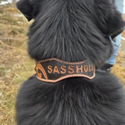 western dog collar leather dog collars cowhide dog collars premium leather dog collars ranch hand (12)