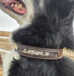 western dog collar leather dog collars cowhide dog collars premium leather dog collars ranch hand (17)