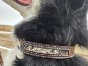 western dog collar leather dog collars cowhide dog collars premium leather dog collars ranch hand (17)