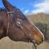 Vaquero Roughout Leather - Browband Headstall - Western Bridle - view 3