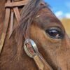 Vaquero Roughout Leather - Browband Headstall - Western Bridle - view 6