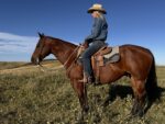 ranch hand western horse tack