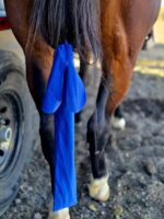 Tail Bags for horse horse tail bags grooming kit mane and tai lcare horse grooming western tail bags lycra tail bags ranch hand (10)